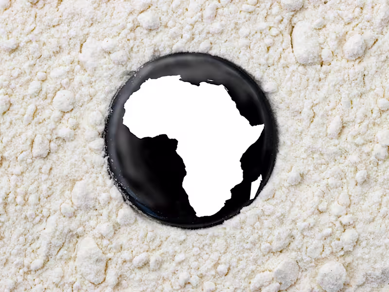 Cover image for The Rise of Global Hunger