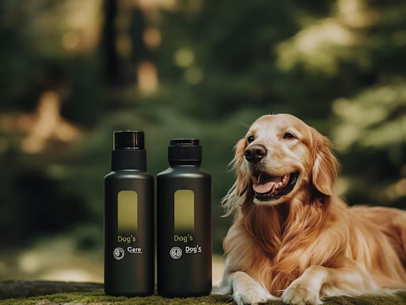 Cover image for Social Media Management Project for Pet Brand