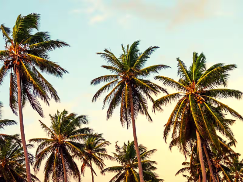 Cover image for Caribbean Travel Guide | TravelBugz