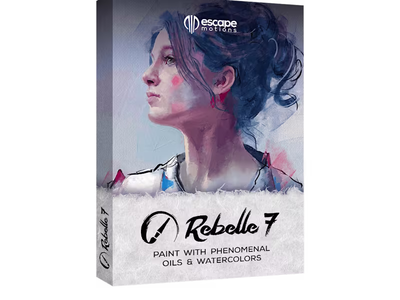 Cover image for Stylized Digital Paintings