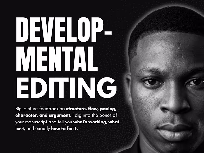 Cover image for Developmental Editing