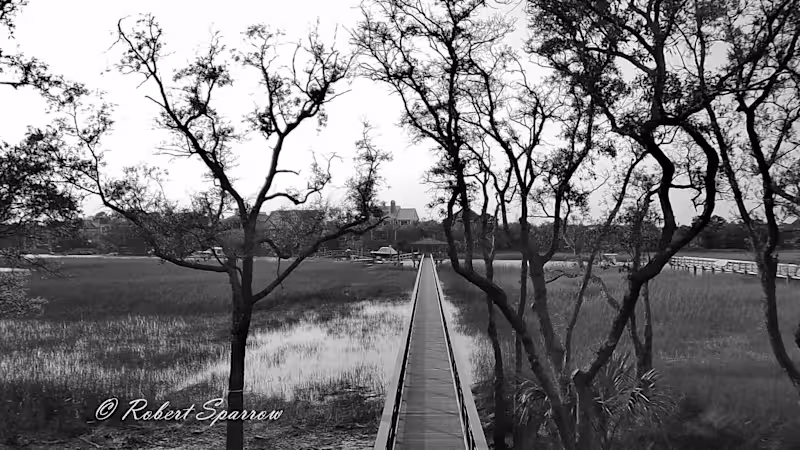 Cover image for Boardwalk going to boat dock, Daniel Island, SC