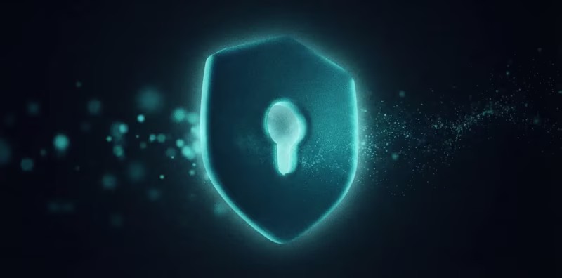 Cover image for Website Security & Maintenance