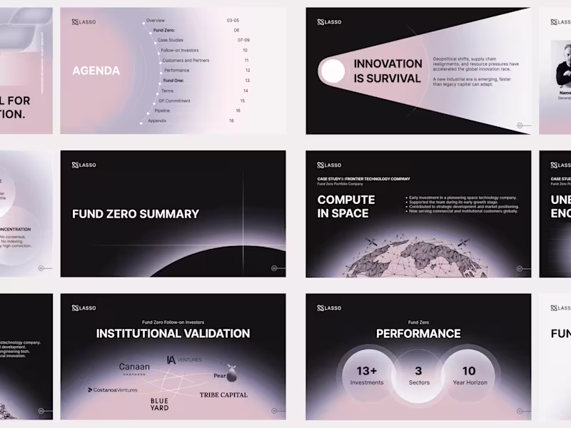 Cover image for Brand Identity for LASSO VC Fund