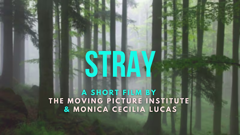 Cover image for Short Film Pitch Deck