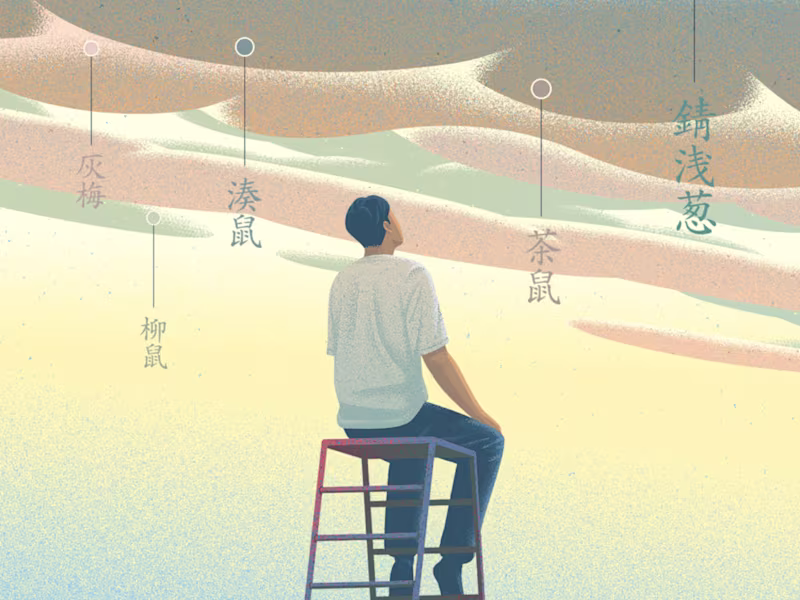 Cover image for Nippon Colors