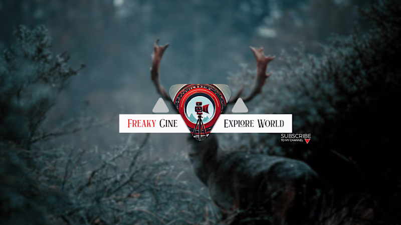 Cover image for Youtube Cover