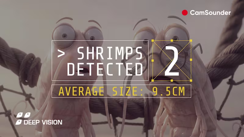 Cover image for Animated short film for CamSounder — Scantrol Deep Vision