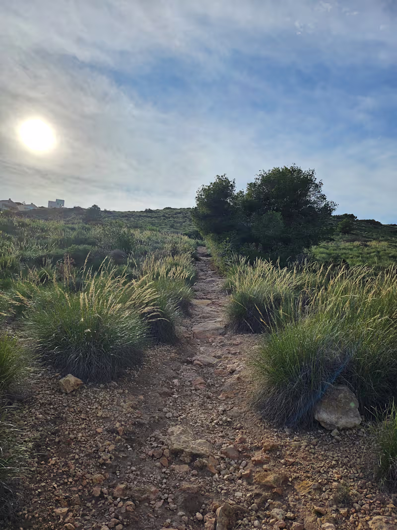 Cover image for Hiking in Spain Photo
