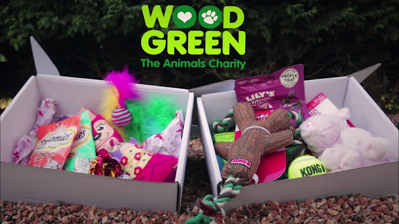 Cover image for Product promotion and Website banner video for Wood Green