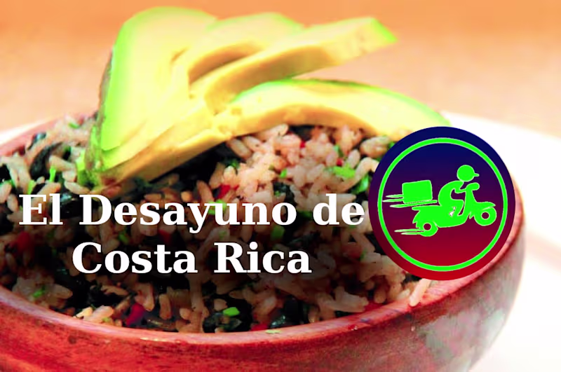 Cover image for Pinto Express — Full Brand Identity