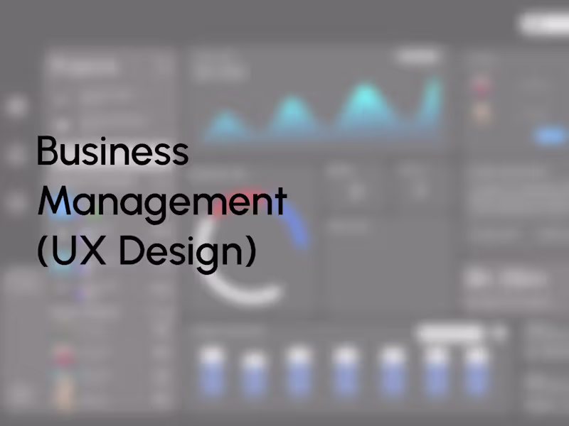 Cover image for Business Software