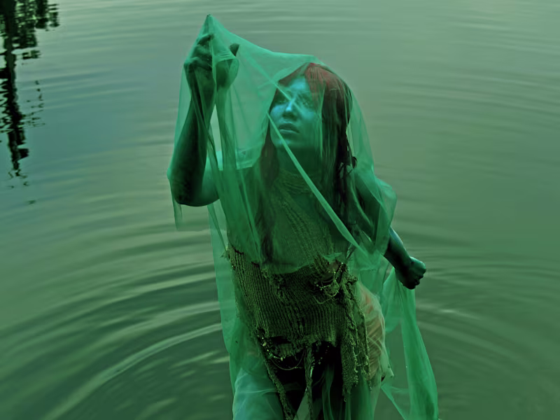 Cover image for serenity