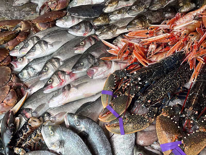 Cover image for Glasgow's Fish Plaice 