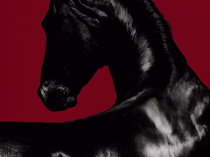 Cover image for The Masquerade of Strength reflects