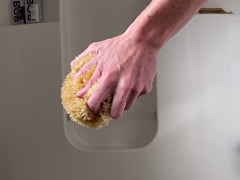 Cover image for Elevating Self-Care: Nisia Sea Sponges