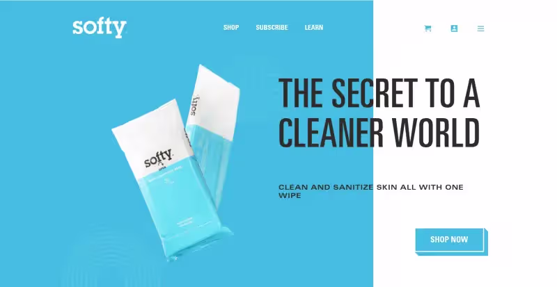 Cover image for Shopify store selling hand wipes