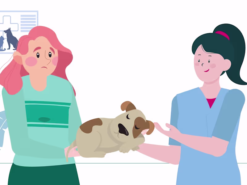 Cover image for I will create fully custom 2d animated explainer video for you
