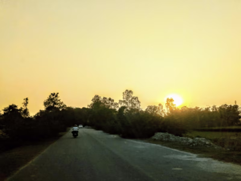 Cover image for Report - Project