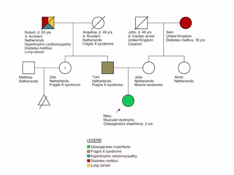 Cover image for Pedigree chart
