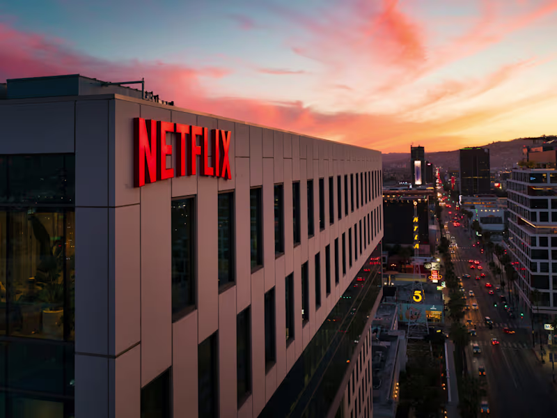 Cover image for Investigating Netflix Movies