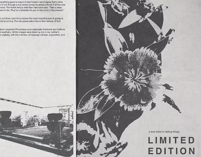 Cover image for Limited Edition : A zine