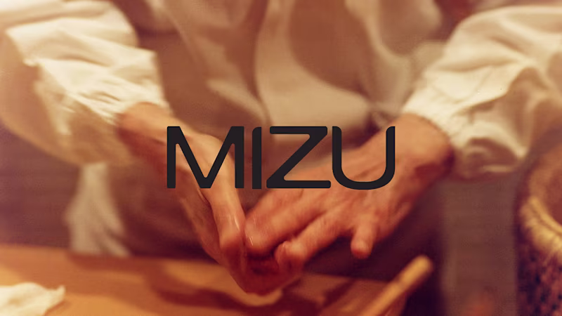Cover image for BRANDING & WEBDESIGN - MIZU :: Behance