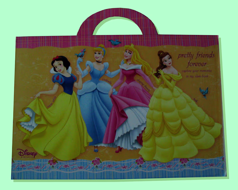 Cover image for Slam Books For Girls : Disney Princesses