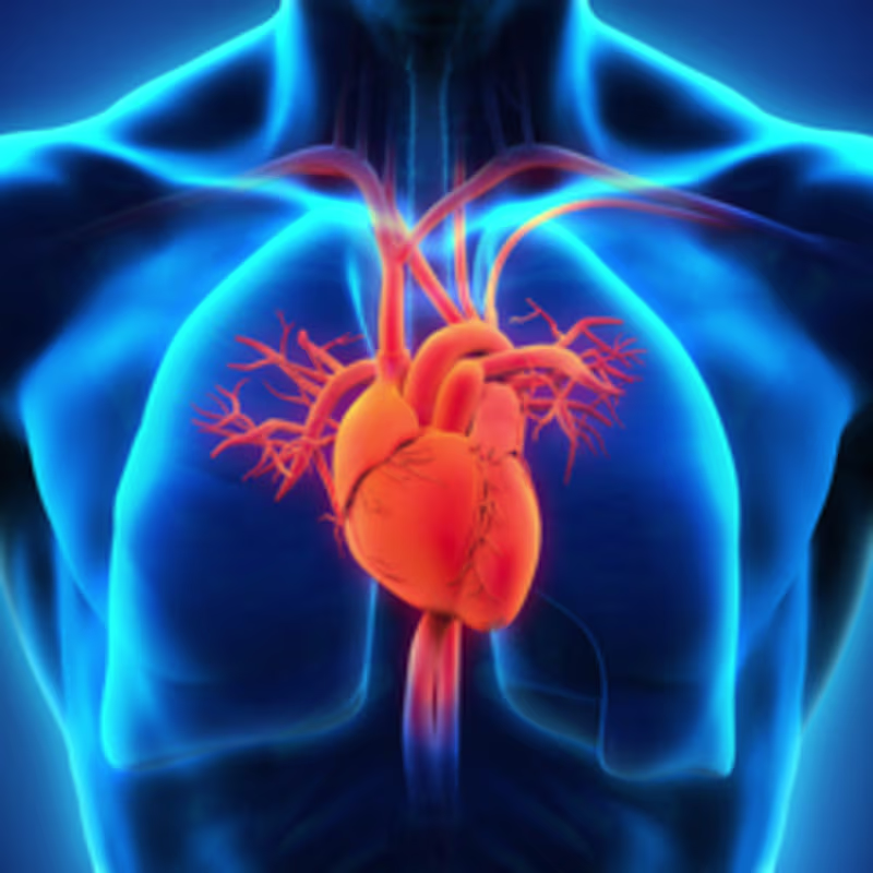 Cover image for Comparative Analysis Heart Disease Prediction