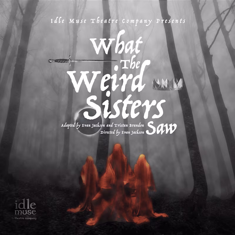 Cover image for What the Weird Sisters Saw AdMat