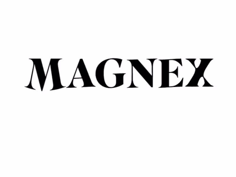 Cover image for Framer website for MAGNEX.ca