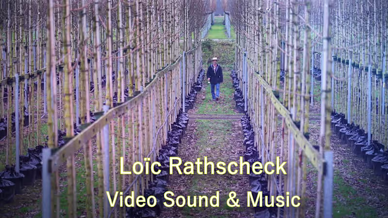 Cover image for Video / Music / Sound