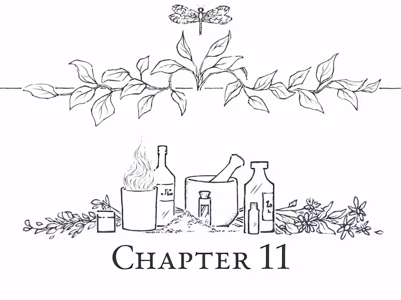 Cover image for Chapter Header Illustration/Design