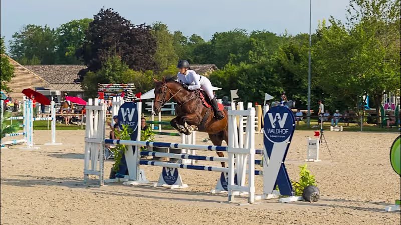 Cover image for Waldhof Equestrian Center - Teaser Video