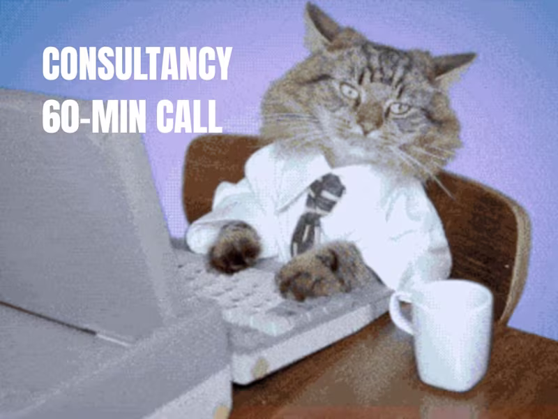 Cover image for 60-min Consultancy Call | Startup Growth | Review + Next Steps