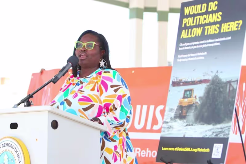 Cover image for Environmental Injustice: Roishetta Ozane’s Fight in SW Louisiana