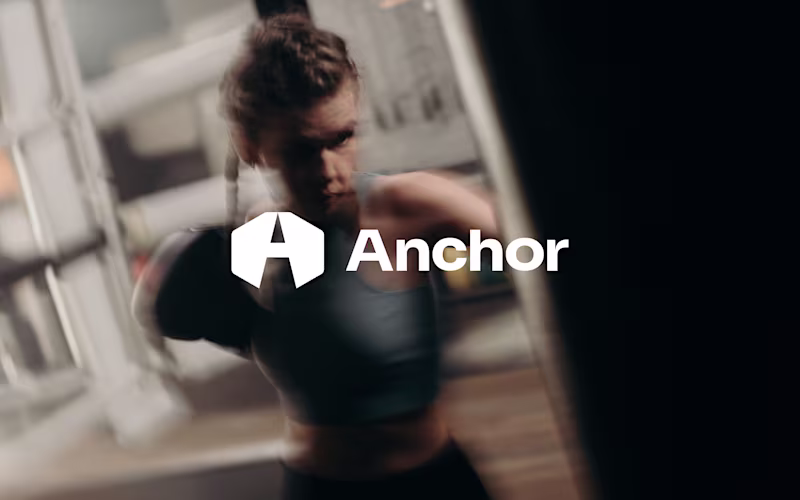 Cover image for Introducing Anchor - a bold