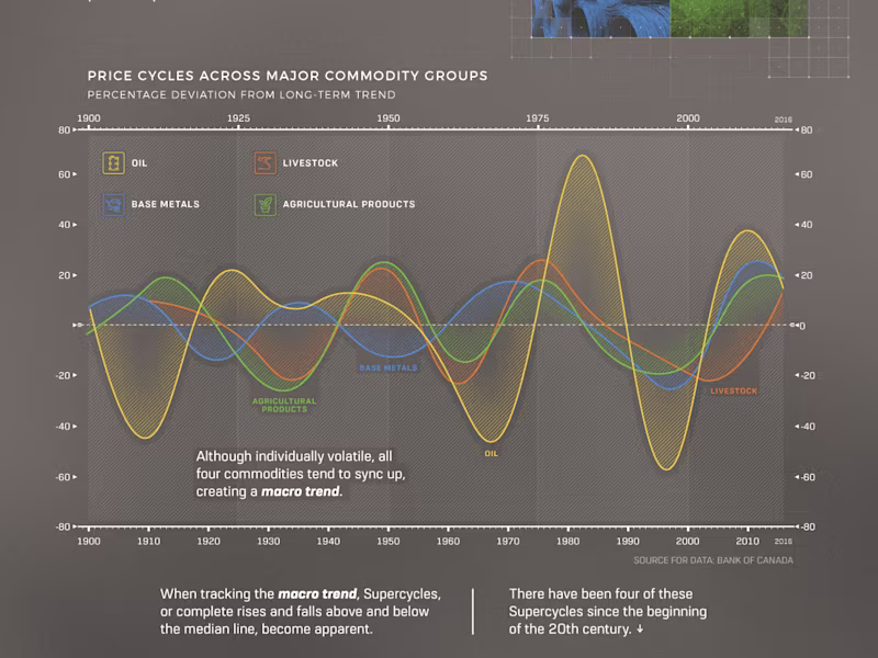 Cover image for The Commodity Super Cycle