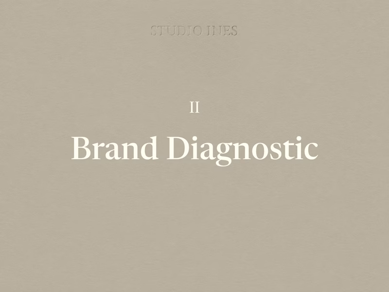 Cover image for Brand Diagnostic