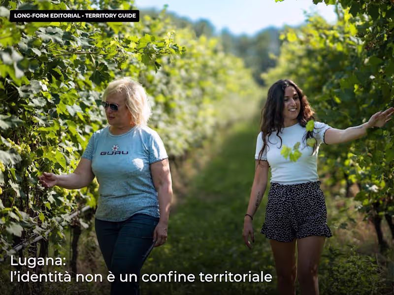 Cover image for Wine & Beverage Editorial Content Writing