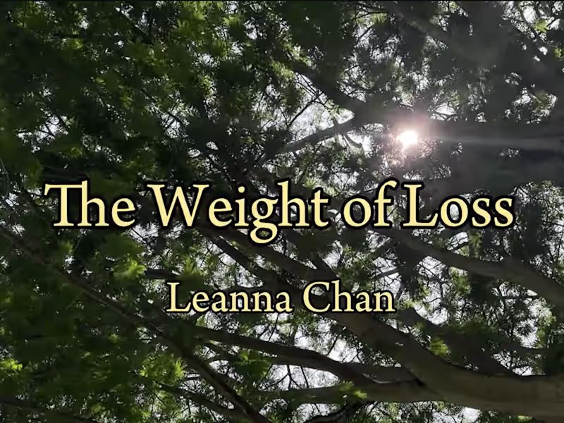 Cover image for The Weight of Loss, 2024 
