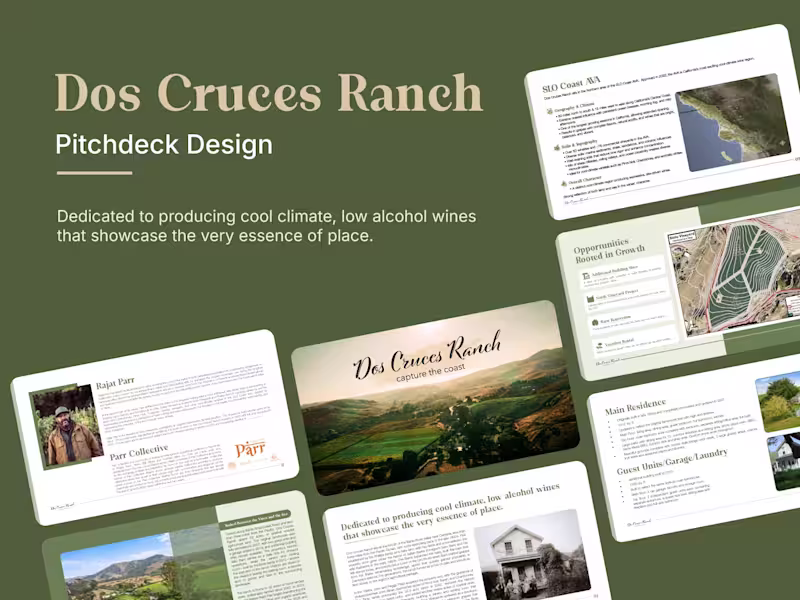 Cover image for Investor ready pitch deck