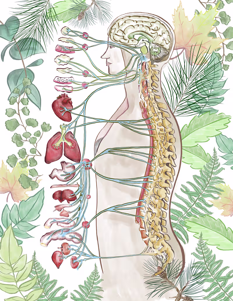 Cover image for Illustration created for Community Resilience