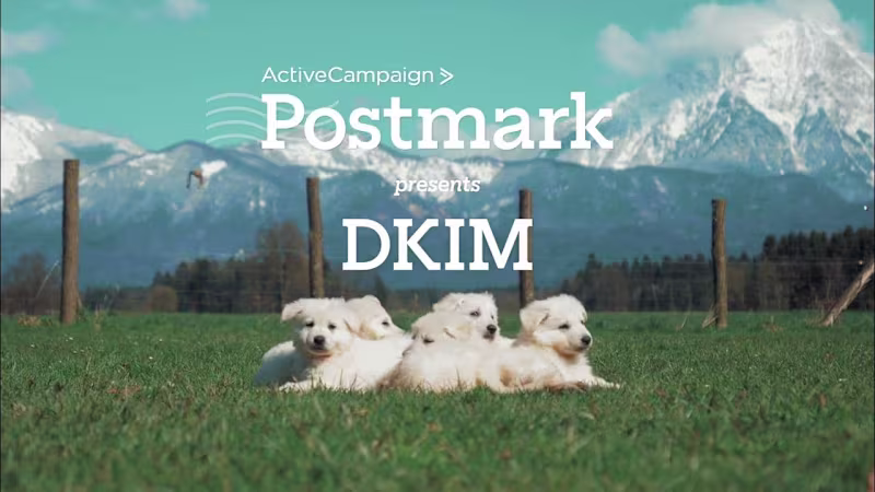 Cover image for What is DKIM? It's a thing. And look! Puppies!