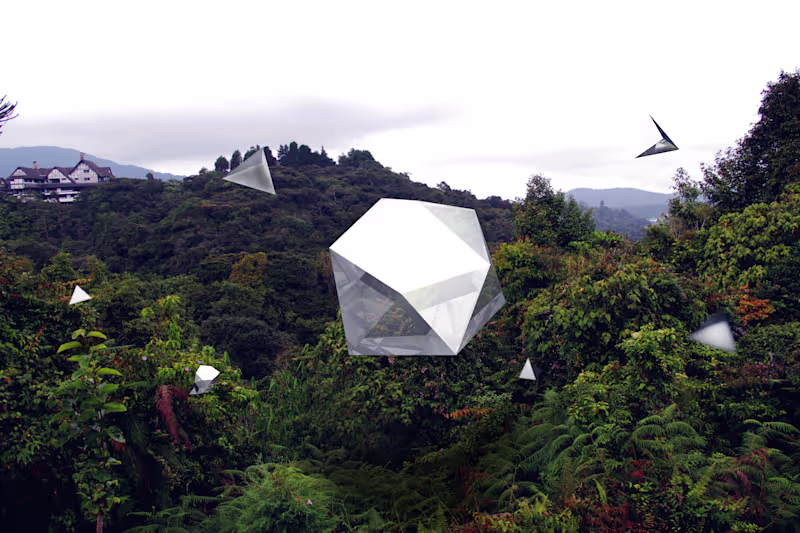Cover image for ABSTRACT VS. ORGANIC