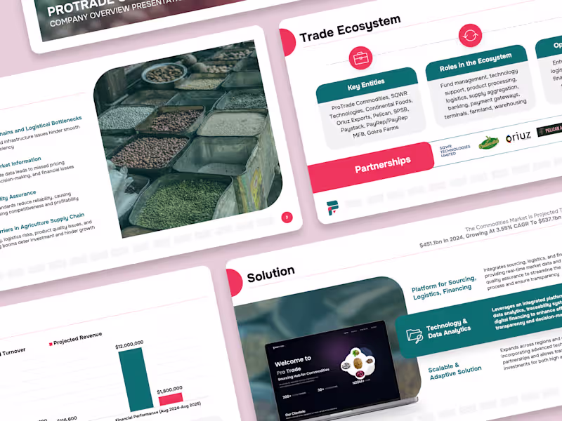 Cover image for Building the Company Overview and Pitch Deck for ProTrade