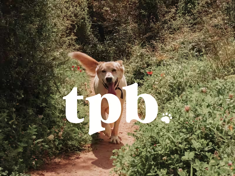 Cover image for The Pet Bestie-Brand Identity Project