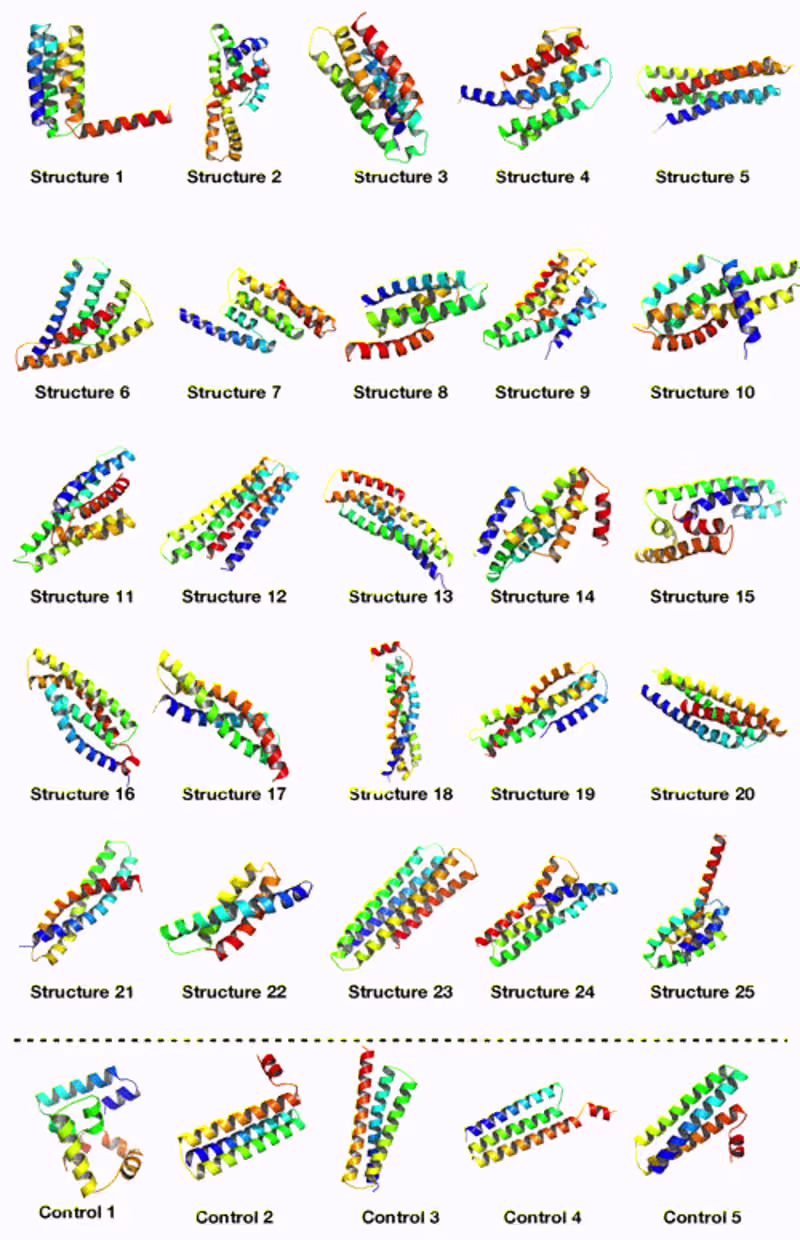 Cover image for RamaNet