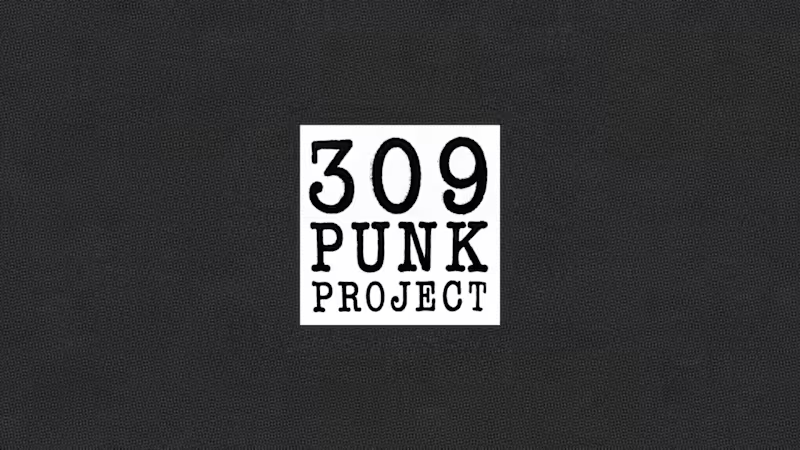 Cover image for 309 Punk Project