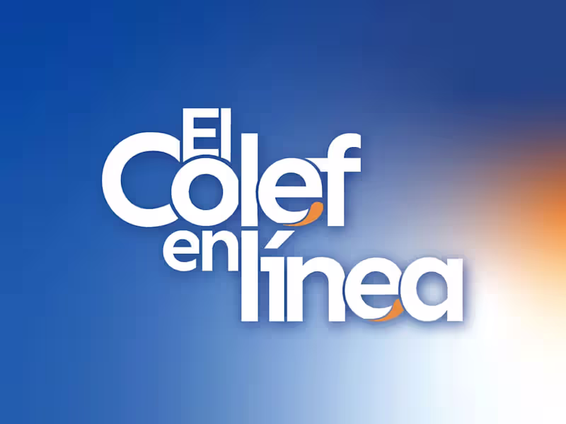 Cover image for El Colef en Línea